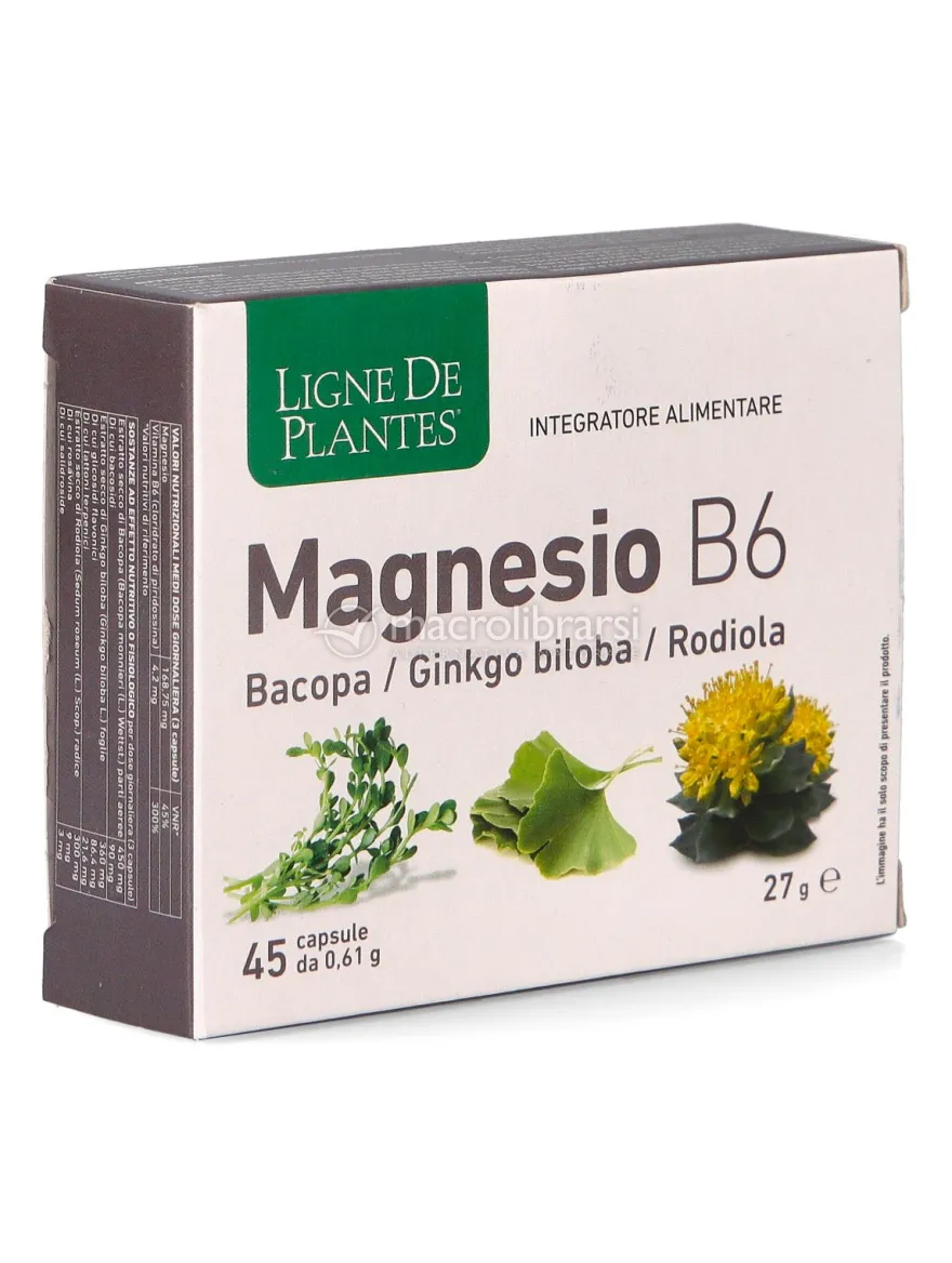 Magnesio B6 + Bacopa + Ginkgo Biloba + Rodiola - Capsule