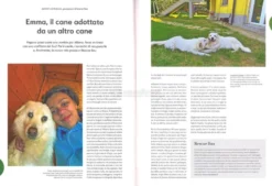 Mai Più Soli - Quattrozampe