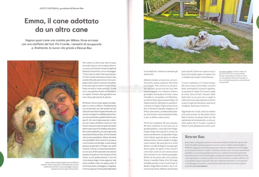 Mai Più Soli - Quattrozampe