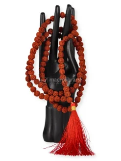 Mala con Grani di Rudraksha con Nappina Rossa