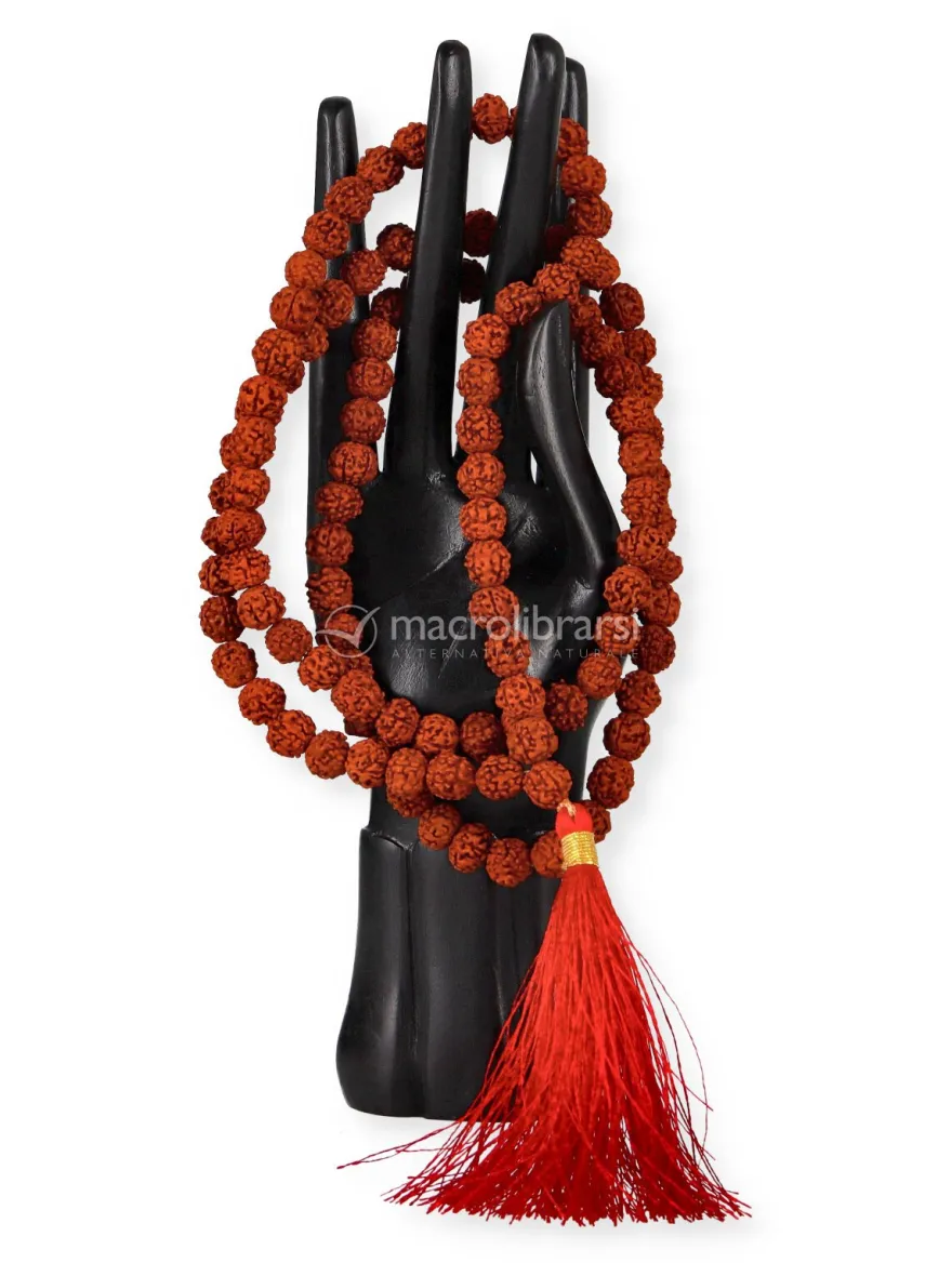 Mala con Grani di Rudraksha con Nappina Rossa