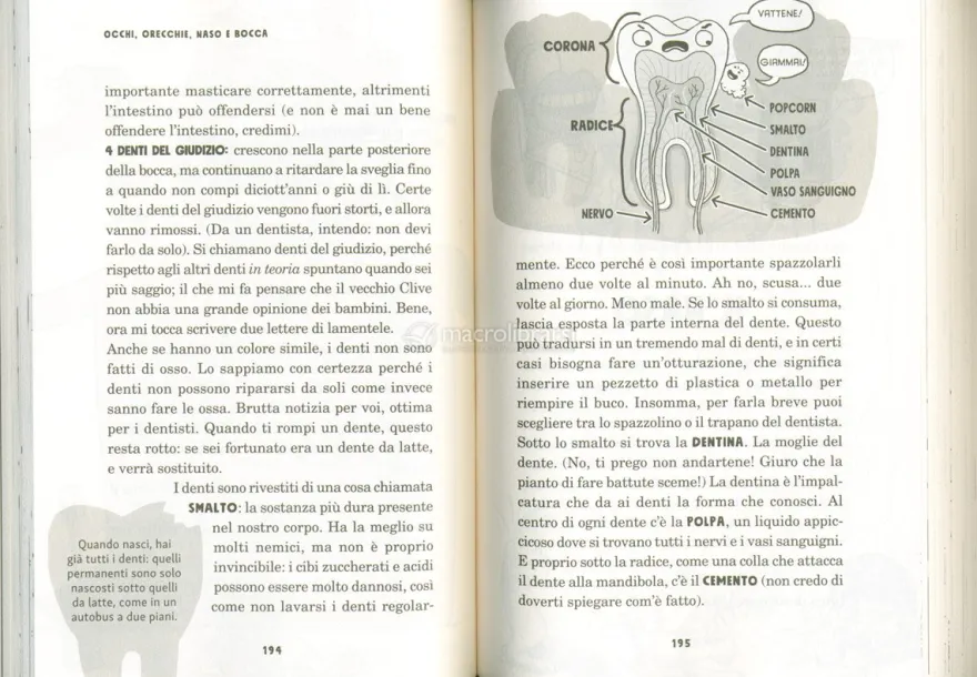 Mamma Mia l'Anatomia