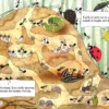 Mamma ti racconto...Cosa Fanno le Formiche