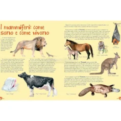 Mammiferi del Mondo