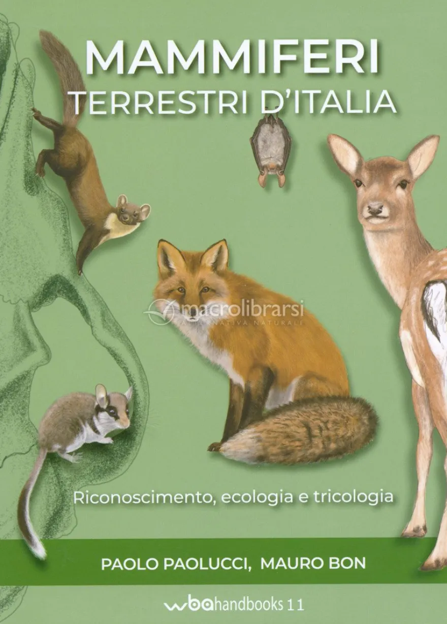 Mammiferi Terrestri d'Italia