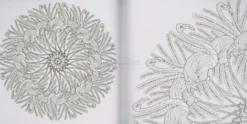 Mandala Animali - Disegni da Colorare