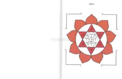 Mandala e Yantra