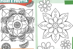 Mandala Junior