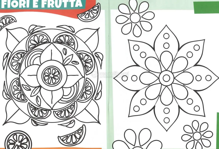 Mandala Junior
