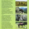 Manuale del Turismo a Cavallo