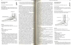 Manuale di Agopuntura