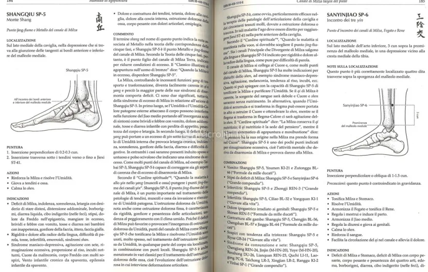 Manuale di Agopuntura