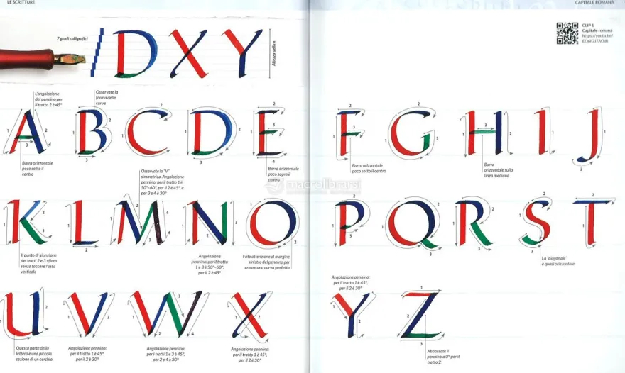 Manuale di Calligrafia