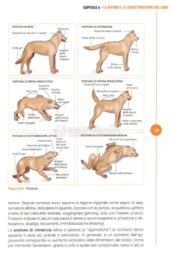 Manuale di Educazione Cinofila