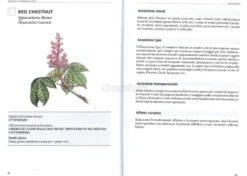 Manuale di Floriterapia Clinica