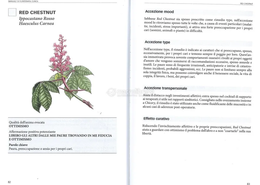 Manuale di Floriterapia Clinica