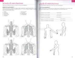 Manuale di Kinesiologia Strutturale
