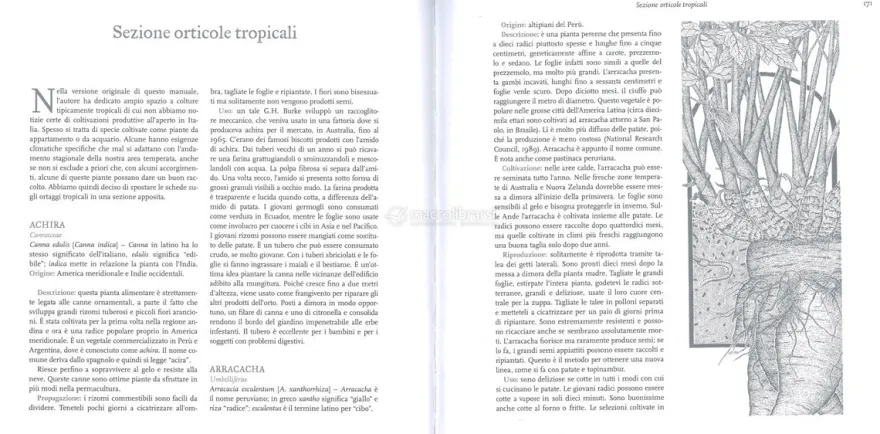 Manuale per Salvare i Semi dell'Orto e la Biodiversità
