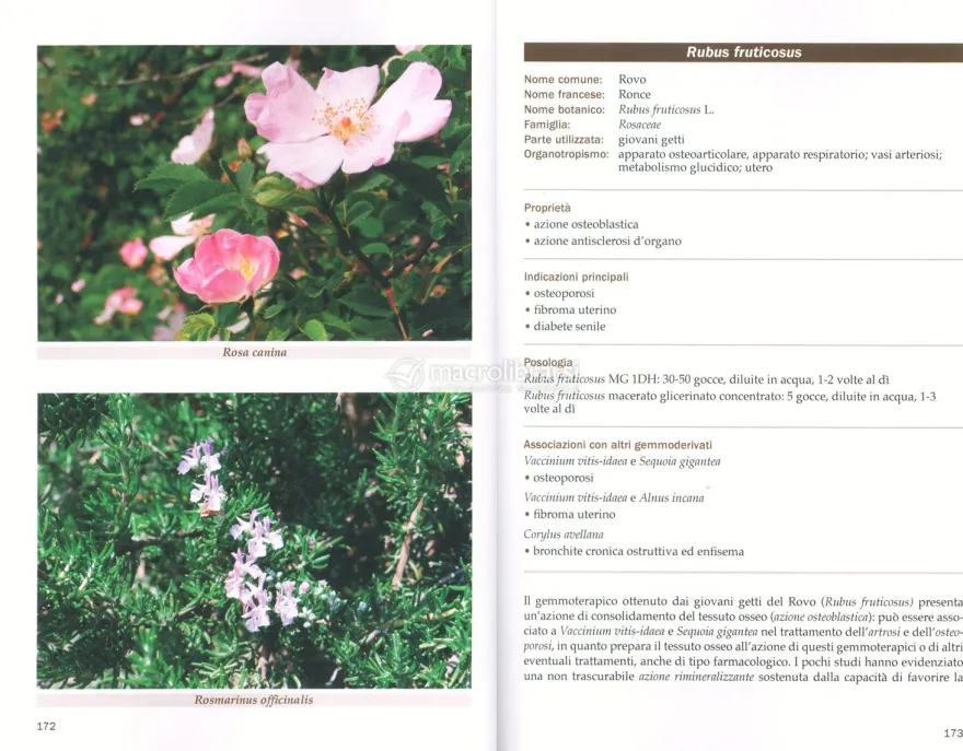 Manuale Pratico di Gemmoterapia