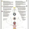 Mappa dei Chakras