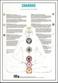 Mappa dei Chakras