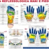 Mappa Reflessologia Mani e Piedi
