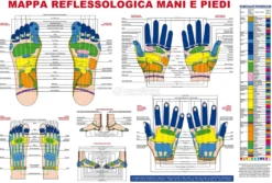 Mappa Reflessologia Mani e Piedi