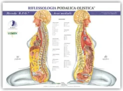 Mappa: Riflessologia Podalica Olistica Aree Laterali