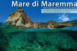 Mare di Maremma