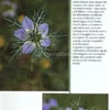 Maremma in Fiore