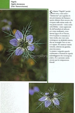 Maremma in Fiore