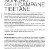 Massaggio Sonoro con le Campane Tibetane + CD