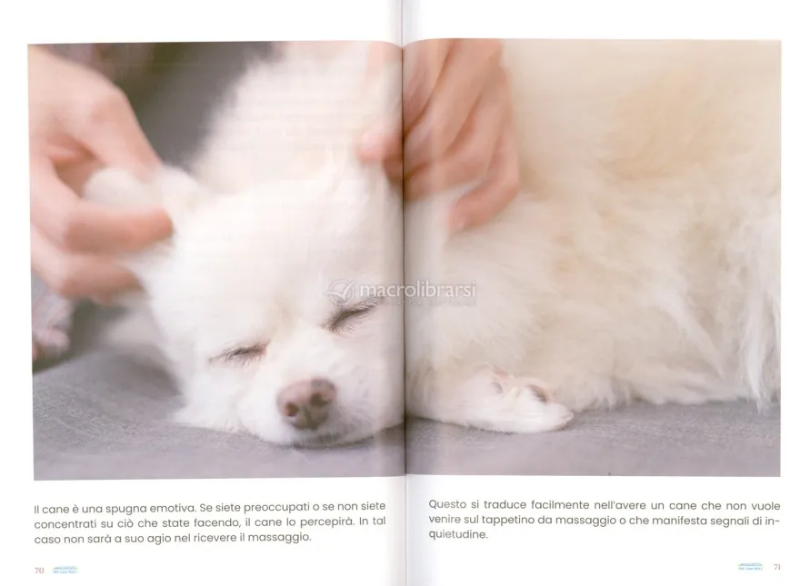Massaggi per Cani Felici