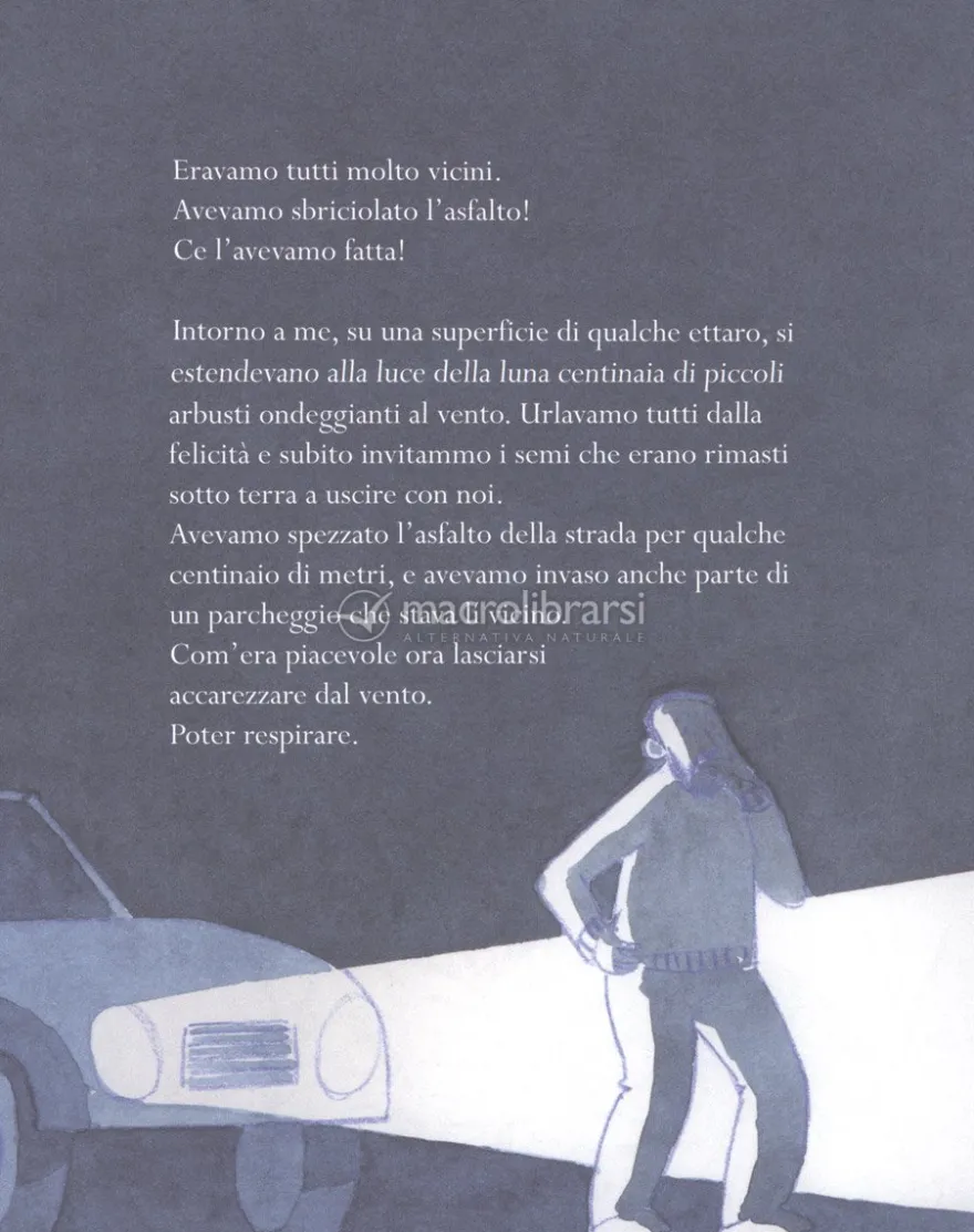 Memorie di un Ciliegio
