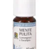 Mente Pulita - Olio Essenziale