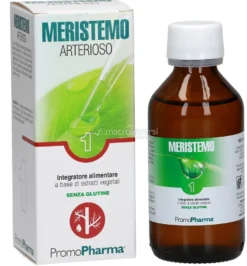 Meristemo 01 - Arterioso