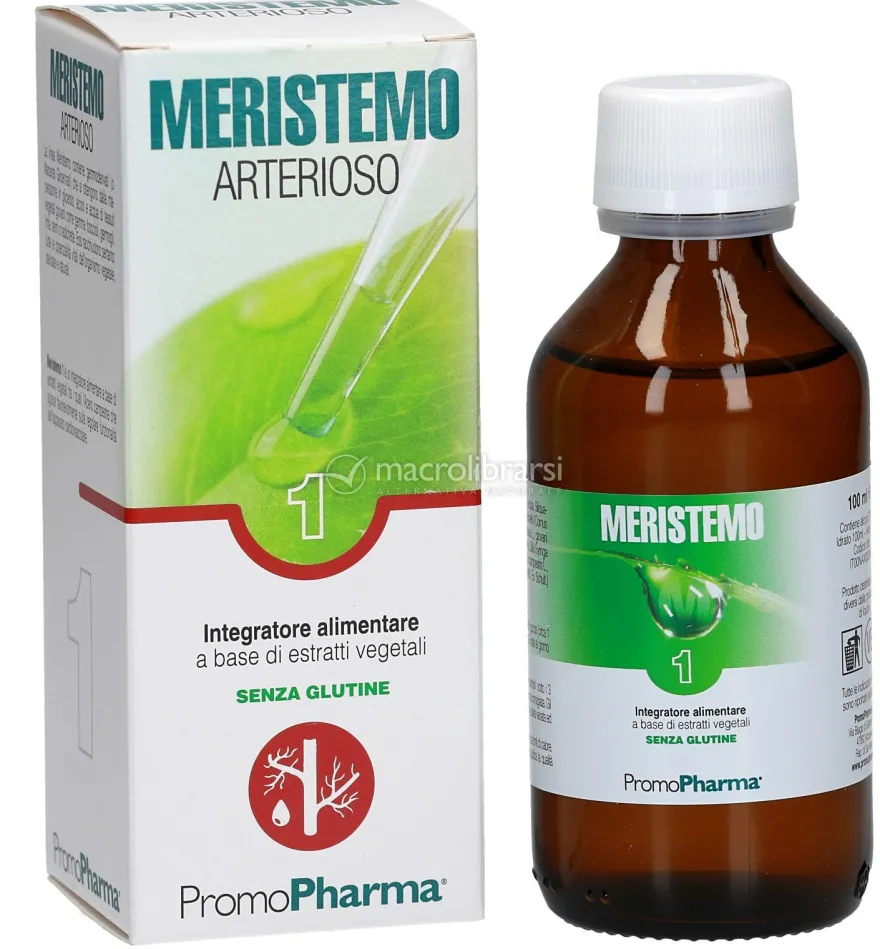 Meristemo 01 - Arterioso