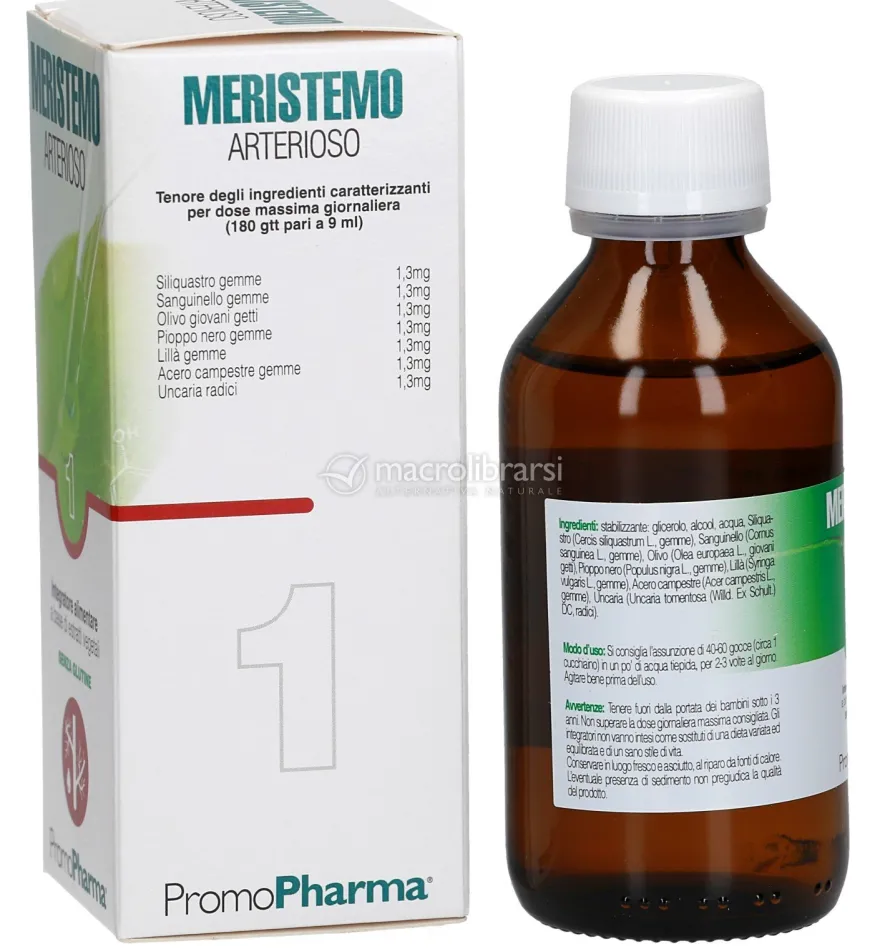 Meristemo 01 - Arterioso