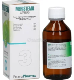 Meristemo 3 - Cerebro