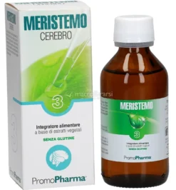 Meristemo 3 - Cerebro