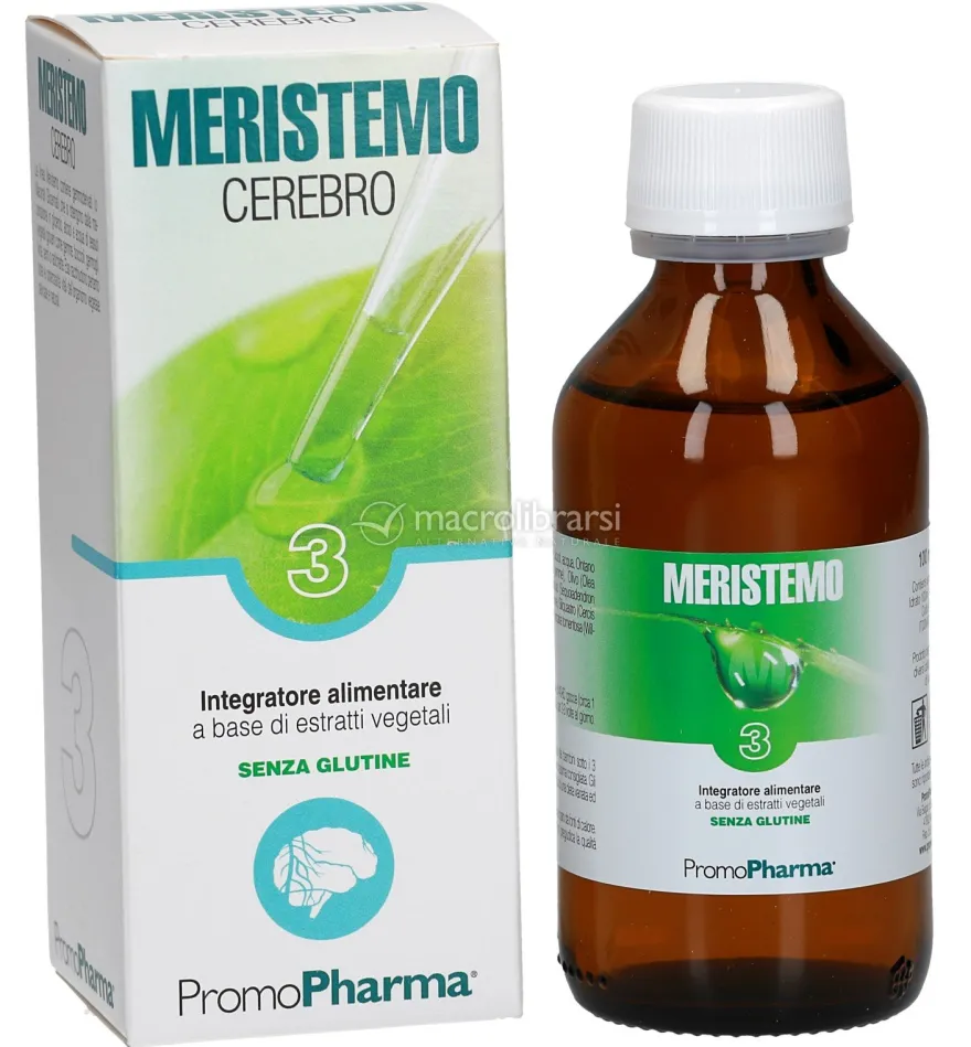 Meristemo 3 - Cerebro