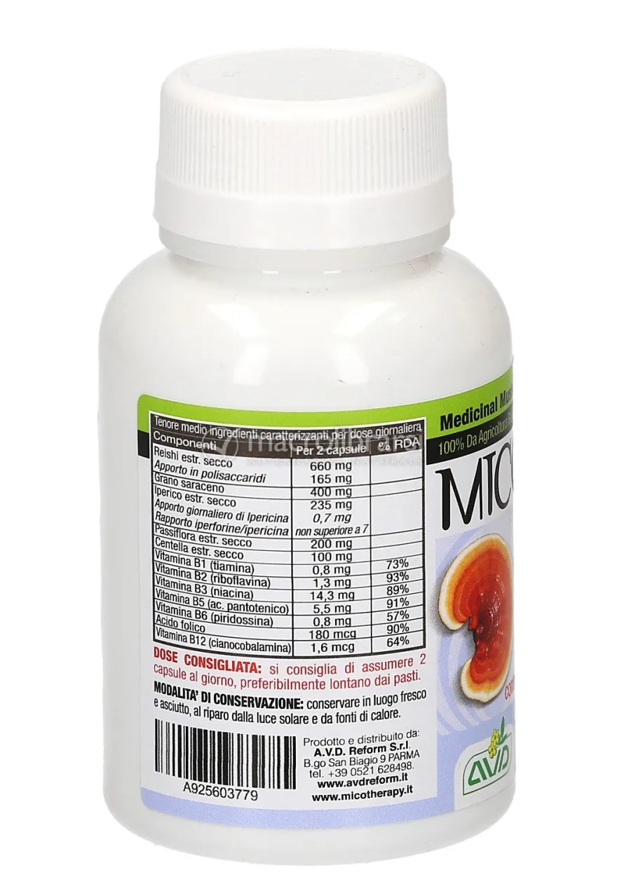Micotherapy - BM - Integratore Alimentare a base di Reishi