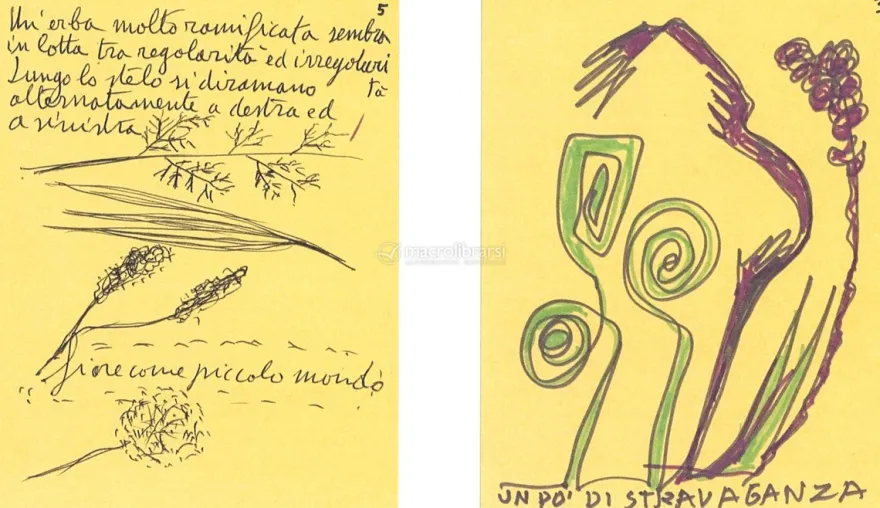 Microbotanica Disegnata