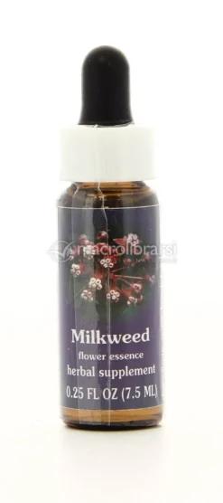 Milkweed - Fiori californiani