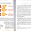 Mindfulness ed Emozioni