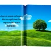 Mindfulness in Pratica