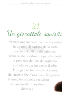 97 Modi per Farsi Amare da un Gatto