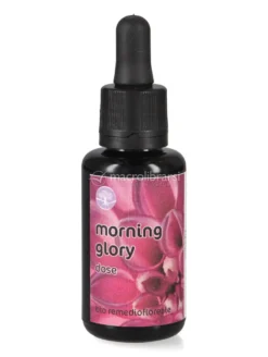 Morning Glory - Fiori californiani - Dose