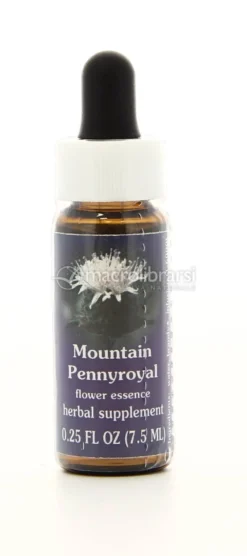 Mountain Pennyroyal - Fiori californiani