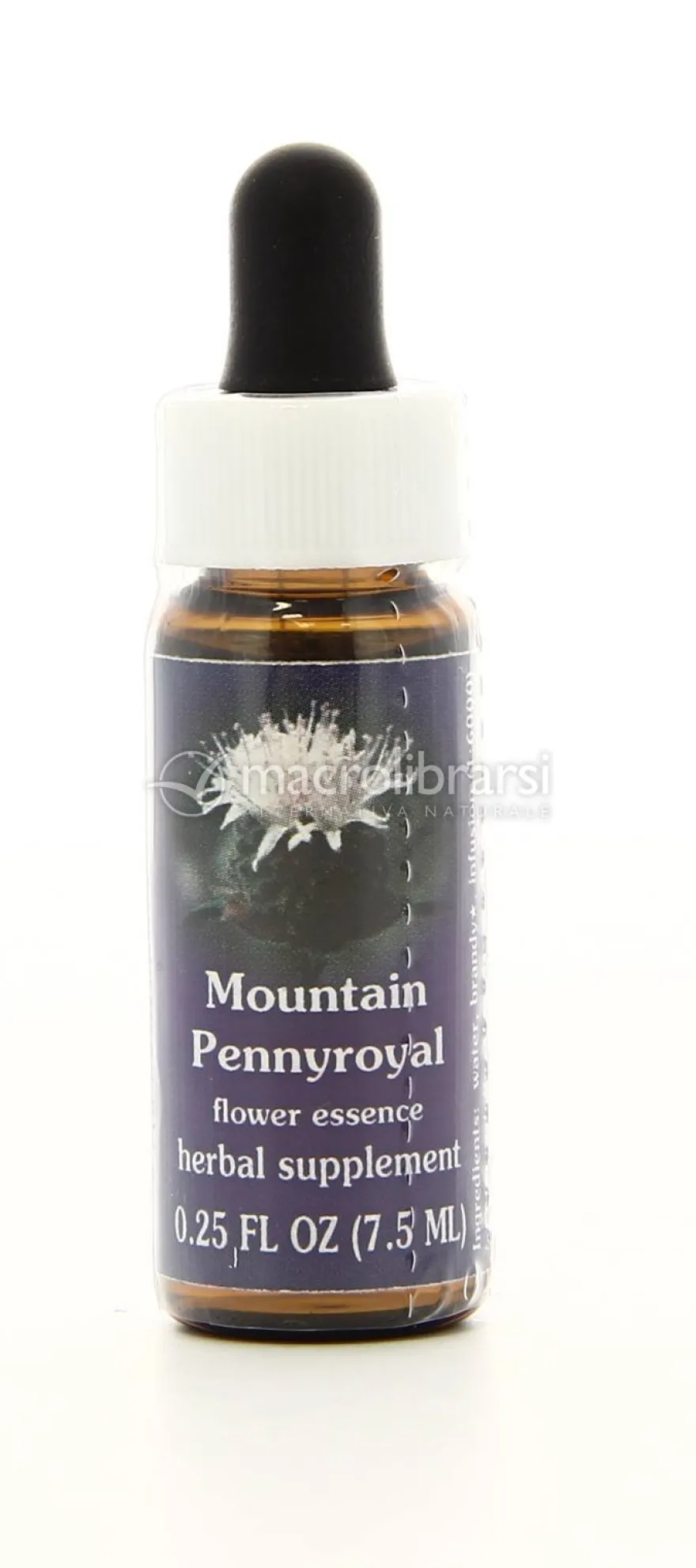Mountain Pennyroyal - Fiori californiani